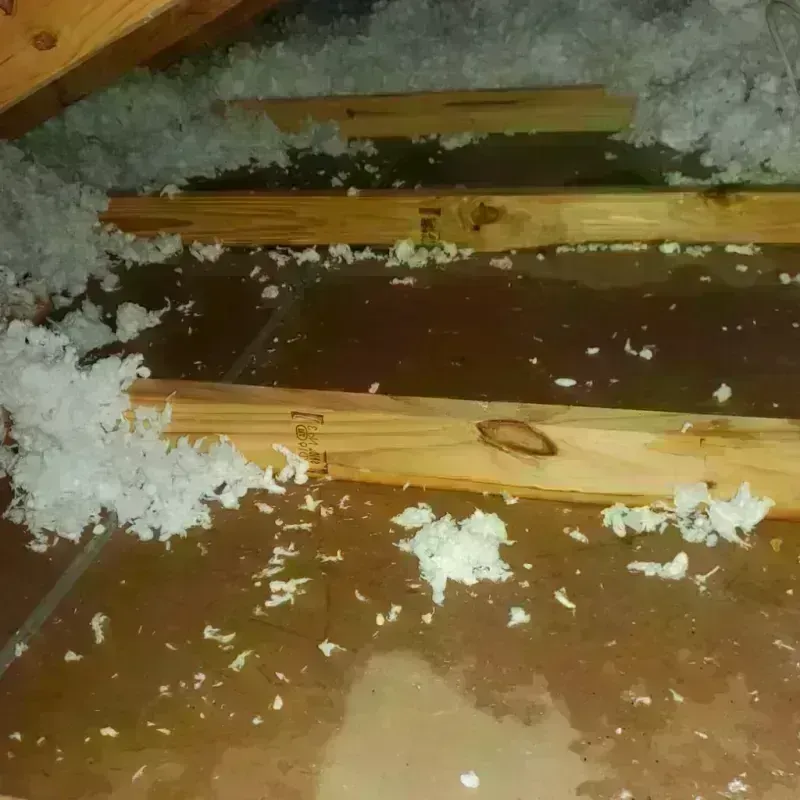 Attic Water Damage in Douglas County, NE