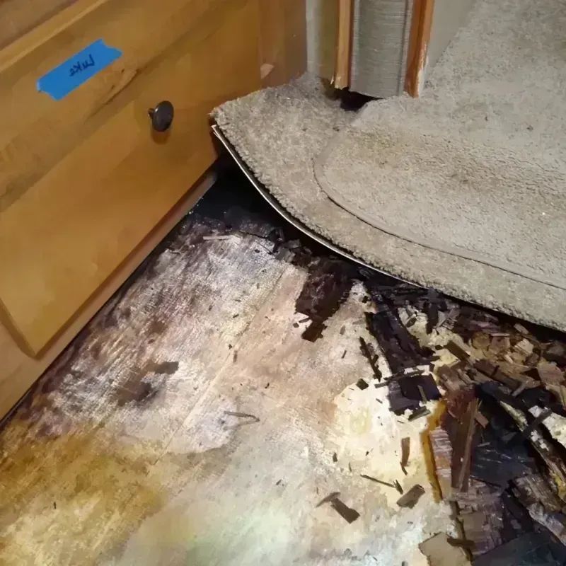 Wood Floor Water Damage in Douglas County, NE